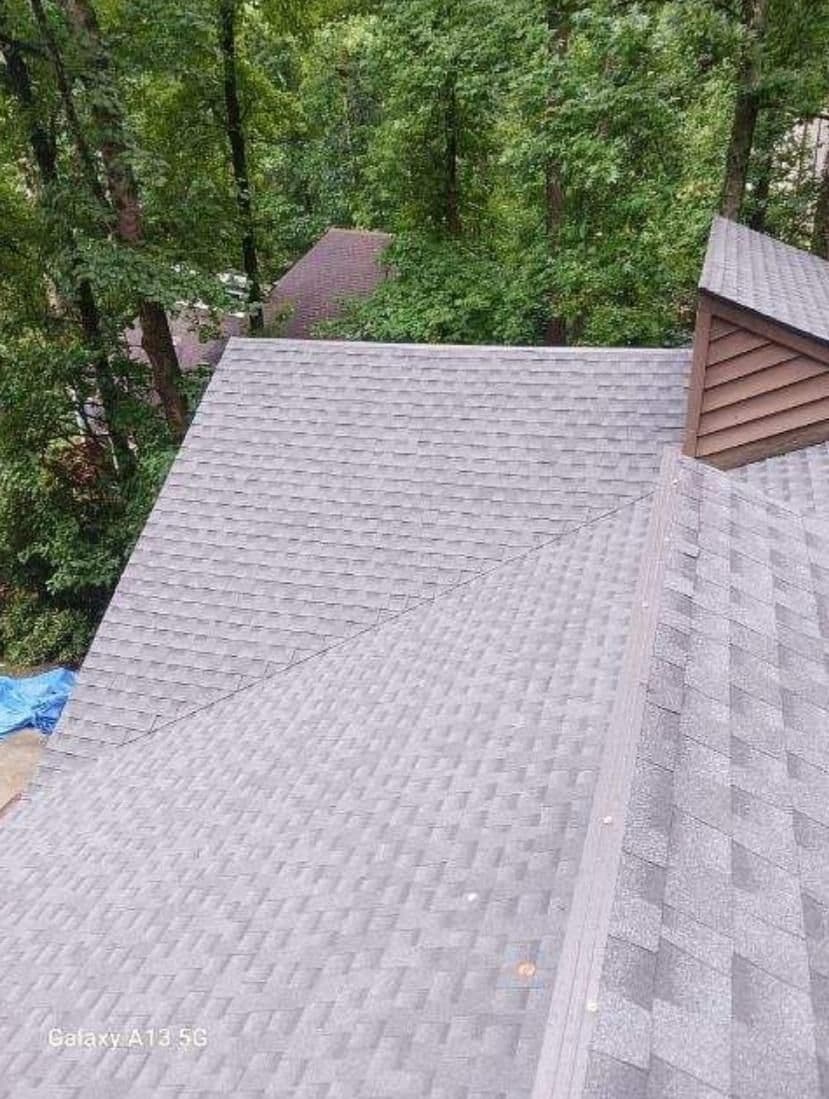 View of a sloped gray shingle roof surrounded by dense green trees. A small brown dormer is visible. Calm, natural setting in the background.