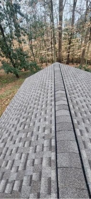 A gray shingled rooftop extends into a dense forest of tall trees with autumn leaves. The scene conveys a serene and natural setting.