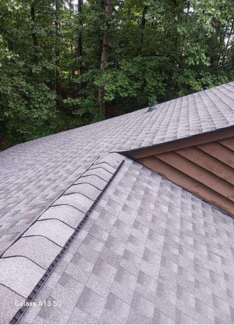 Gray shingled roof in the foreground, with tree-lined green forest in the background. The scene feels tranquil and natural.