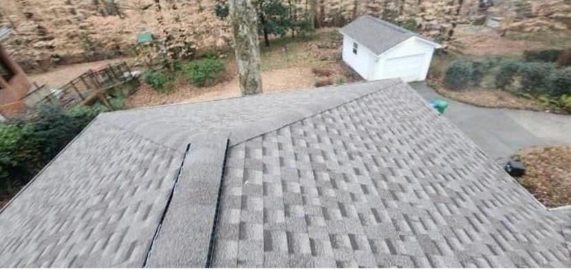 View from a rooftop showing gray asphalt shingles, with a backyard of fallen leaves, trees, and a small white garage in the background. Overcast, calm mood.