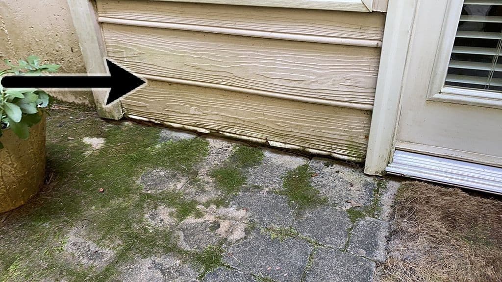The image shows a house's exterior with aging, beige wooden siding and a stone patio. Green moss covers much of the patio, indicating dampness. An arrow points to the siding, possibly highlighting damage or wear.