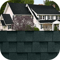 White house with black roof contrasted against a close-up of dark roof shingles. Green trees in the background create a serene, natural setting.