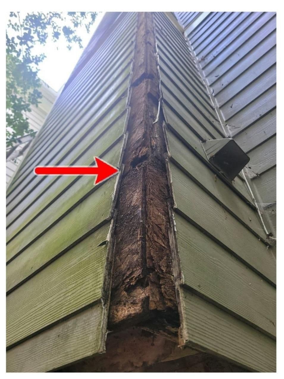 Close-up of a house exterior showing damaged wood siding. A red arrow points to rotting wood between the panels, suggestive of significant decay.
