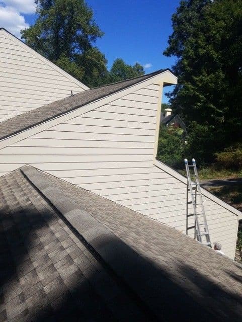 A set of steep, beige, triangular roof structures under a clear blue sky with surrounding trees. A metal ladder leans against the building for access.